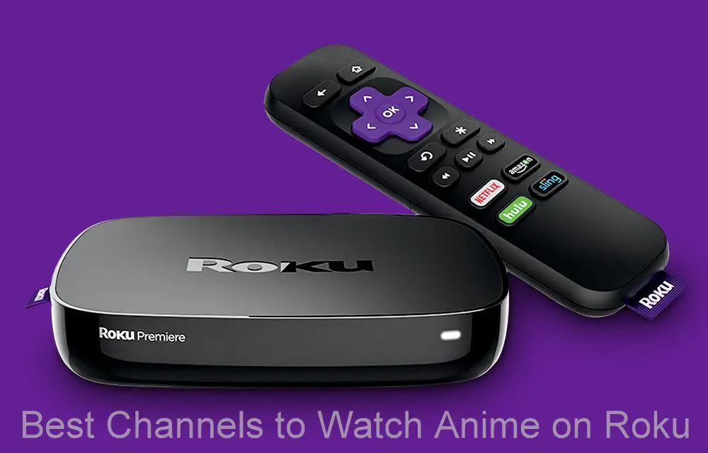 10 Best Channels to Watch Anime on Roku Device and TV