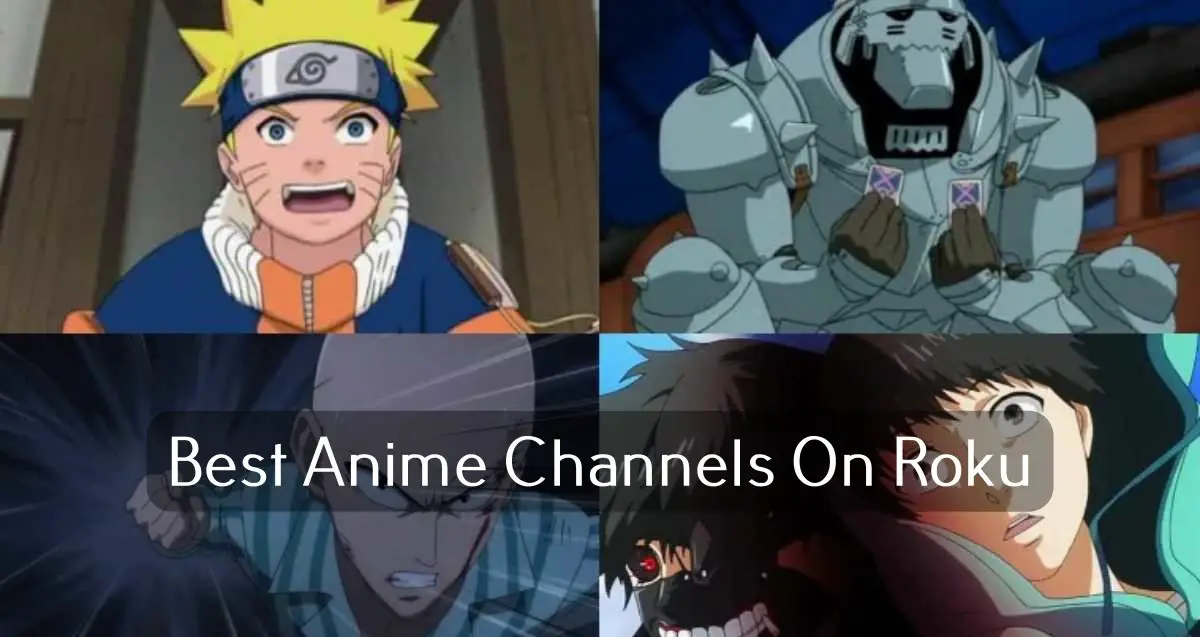 Anime  The Roku Channel  Roku