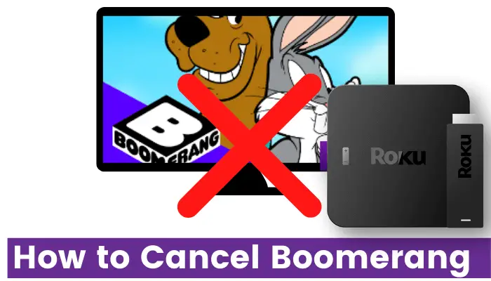 How to Cancel Boomerang Subscription on Roku