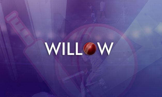 How to Add and Stream Willow on Roku