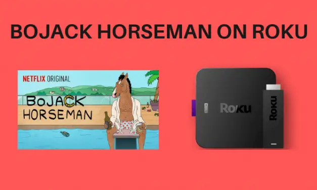 How to Watch BoJack Horseman on Roku
