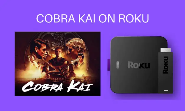 How to Stream Cobra Kai on Roku TV/Device