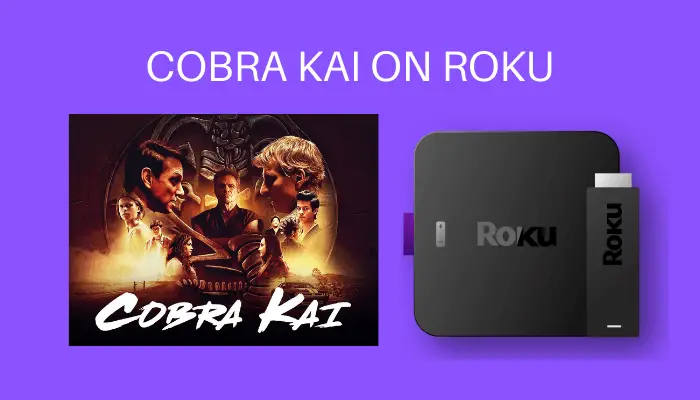 How to Stream Cobra Kai on Roku TV/Device
