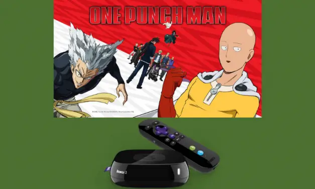 How to Stream One Punch Man On Roku