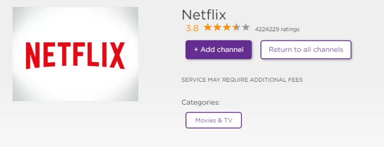 Adding Netflix Using the Channel store webpage