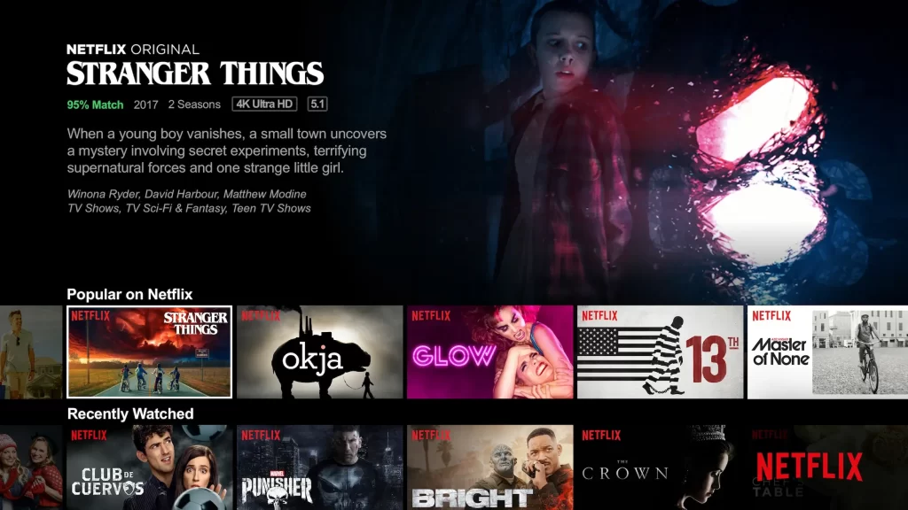 Using Netflix on Roku to watch Stranger Things on Roku 