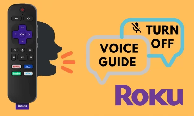 How to Turn Off Voice (Audio Narrator) on Roku in Easy Ways
