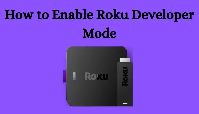 How to Enable Roku Developer Mode And Sideload Channels [Step-by-Step]