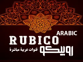  Arabic Channels on Roku includes Arabian live channel