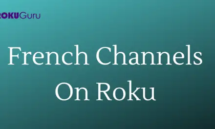 Best 5 French Channels List on Roku