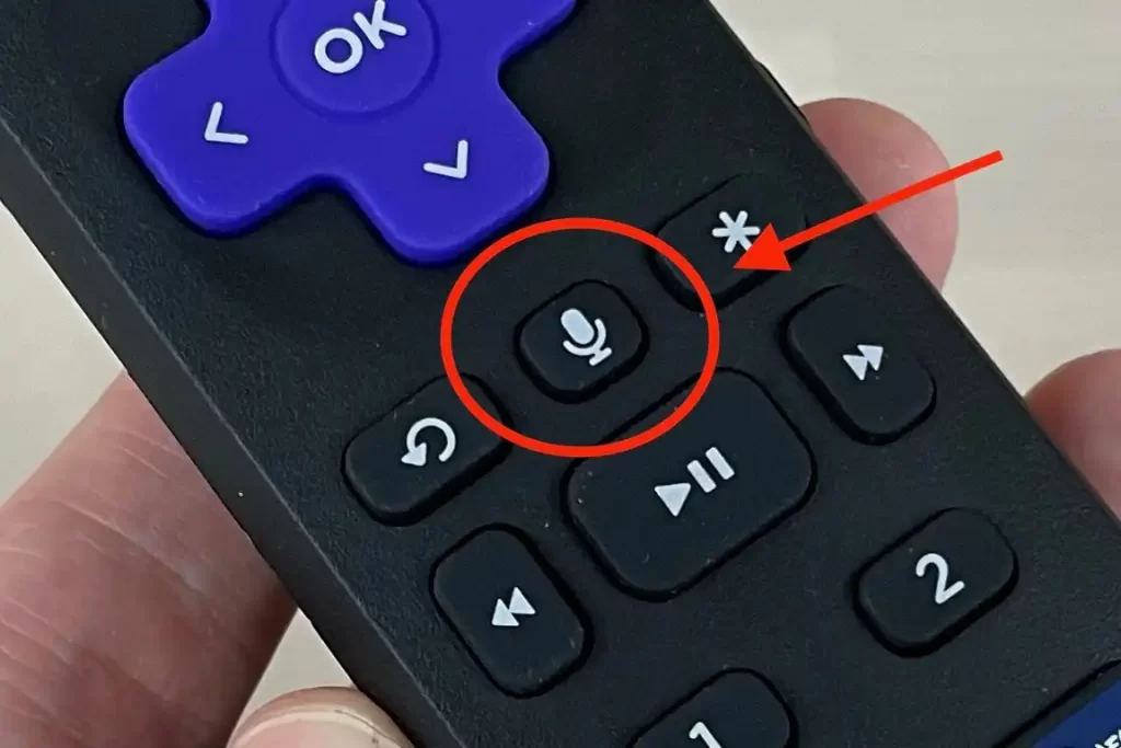 Microphone button on Roku remote