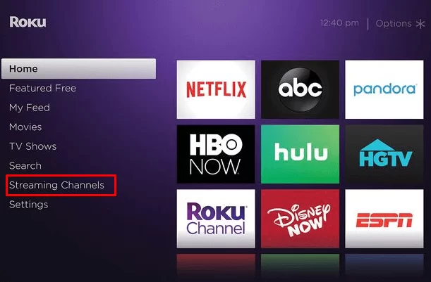 MOVE TO THE STREAMING CHANNELS TO get 2000 mules on roku