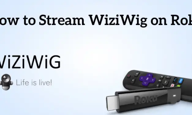 How to Get WiziWig on Roku [In 3 ways]