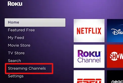 Click on the Streaming Channels option