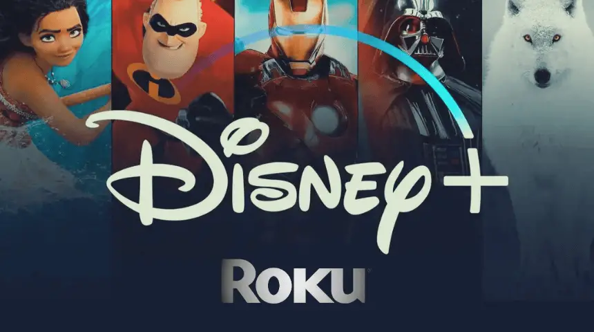 How to Add and Watch Disney Plus on Roku