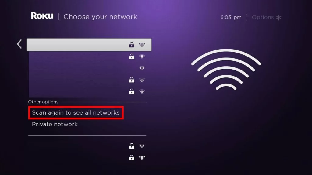 Network option on Roku